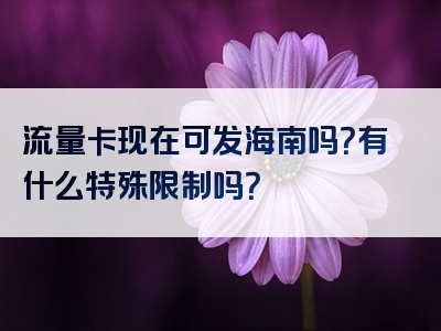 流量卡现在可发海南吗？有什么特殊限制吗？