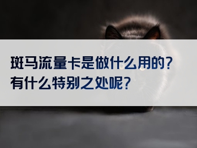 斑马流量卡是做什么用的？有什么特别之处呢？