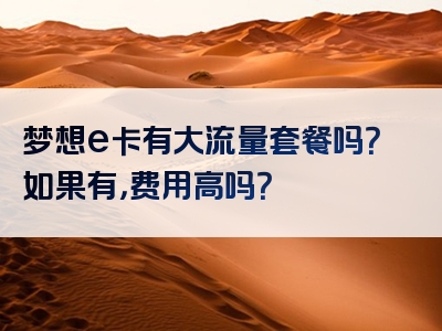 梦想e卡有大流量套餐吗？如果有，费用高吗？