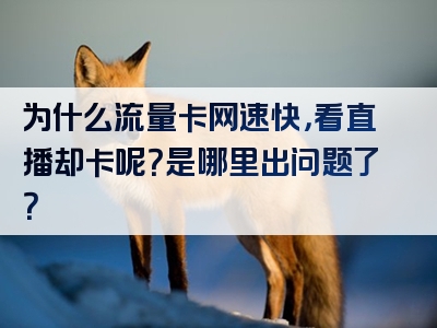 为什么流量卡网速快，看直播却卡呢？是哪里出问题了？