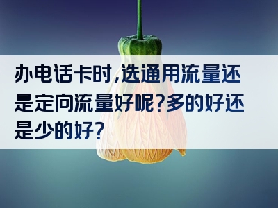 办电话卡时，选通用流量还是定向流量好呢？多的好还是少的好？