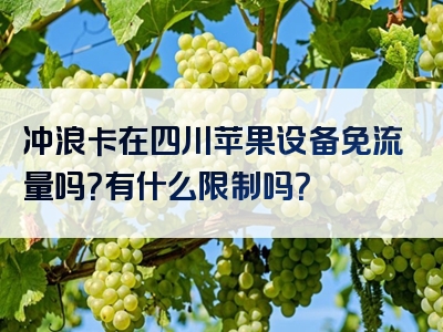 冲浪卡在四川苹果设备免流量吗？有什么限制吗？