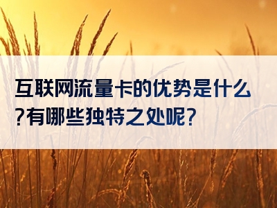 互联网流量卡的优势是什么？有哪些独特之处呢？