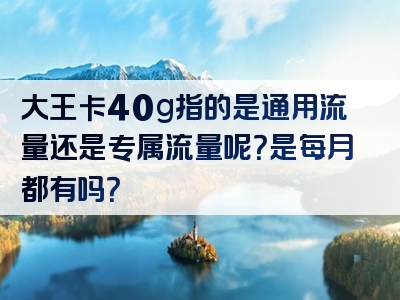 大王卡40g指的是通用流量还是专属流量呢？是每月都有吗？