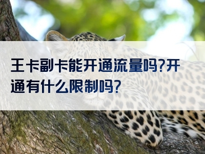 王卡副卡能开通流量吗？开通有什么限制吗？
