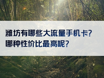 潍坊有哪些大流量手机卡？哪种性价比最高呢？