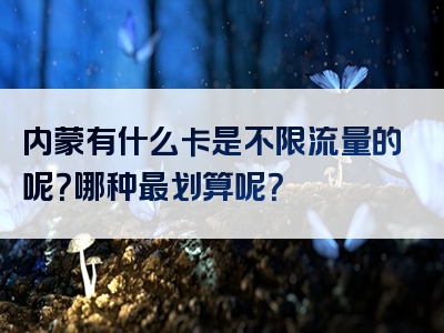 内蒙有什么卡是不限流量的呢？哪种最划算呢？
