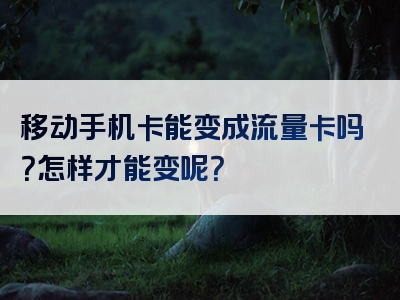 移动手机卡能变成流量卡吗？怎样才能变呢？