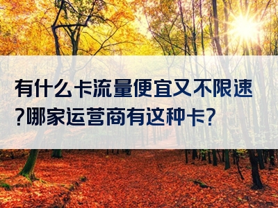 有什么卡流量便宜又不限速？哪家运营商有这种卡？