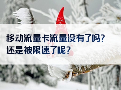 移动流量卡流量没有了吗？还是被限速了呢？