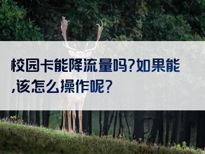 校园卡能降流量吗？如果能，该怎么操作呢？