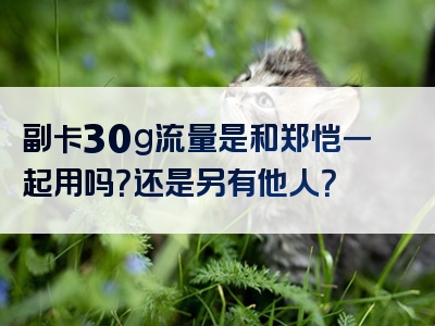 副卡30g流量是和郑恺一起用吗？还是另有他人？