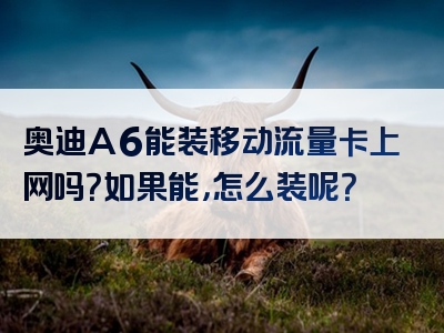 奥迪A6能装移动流量卡上网吗？如果能，怎么装呢？