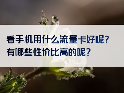 看手机用什么流量卡好呢？有哪些性价比高的呢？
