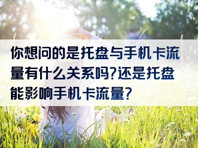 你想问的是托盘与手机卡流量有什么关系吗？还是托盘能影响手机卡流量？