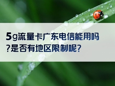 5g流量卡广东电信能用吗？是否有地区限制呢？