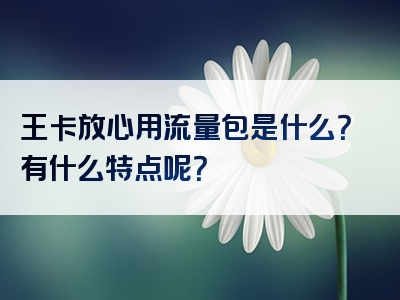王卡放心用流量包是什么？有什么特点呢？