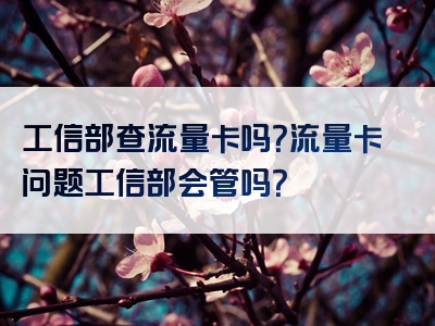 工信部查流量卡吗？流量卡问题工信部会管吗？