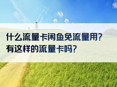 什么流量卡闲鱼免流量用？有这样的流量卡吗？