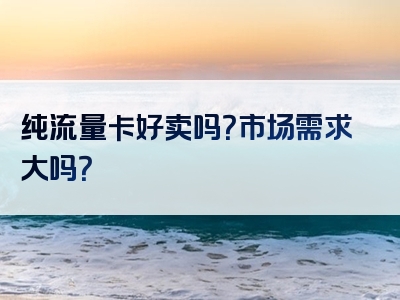 纯流量卡好卖吗？市场需求大吗？