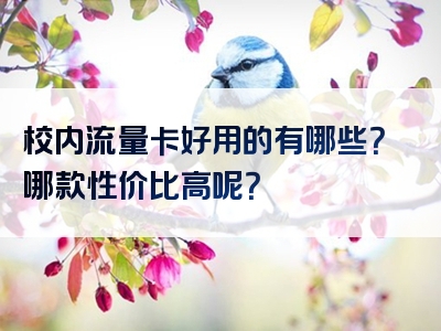 校内流量卡好用的有哪些？哪款性价比高呢？