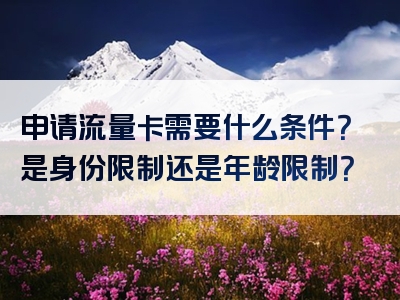 申请流量卡需要什么条件？是身份限制还是年龄限制？