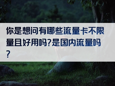 你是想问有哪些流量卡不限量且好用吗？是国内流量吗？
