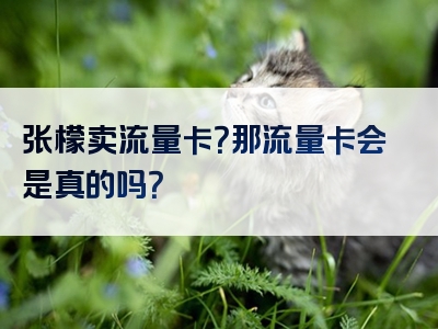 张檬卖流量卡？那流量卡会是真的吗？