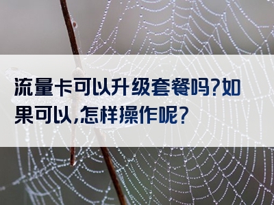流量卡可以升级套餐吗？如果可以，怎样操作呢？