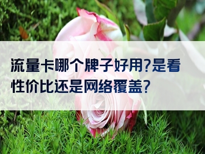 流量卡哪个牌子好用？是看性价比还是网络覆盖？