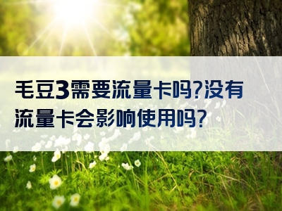 毛豆3需要流量卡吗？没有流量卡会影响使用吗？