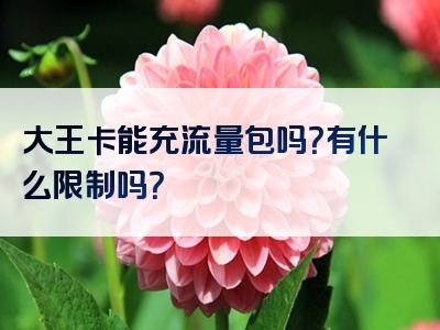 大王卡能充流量包吗？有什么限制吗？