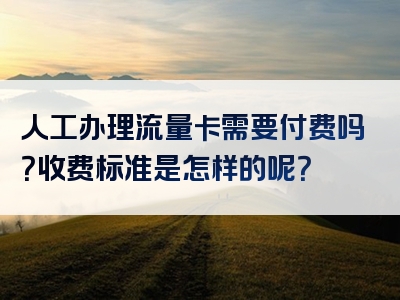 人工办理流量卡需要付费吗？收费标准是怎样的呢？