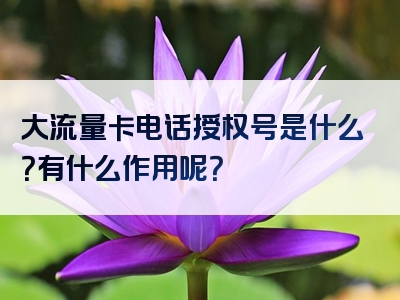 大流量卡电话授权号是什么？有什么作用呢？