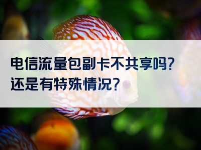 电信流量包副卡不共享吗？还是有特殊情况？