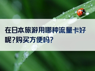 在日本旅游用哪种流量卡好呢？购买方便吗？