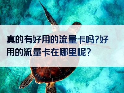 真的有好用的流量卡吗？好用的流量卡在哪里呢？