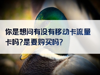 你是想问有没有移动卡流量卡吗？是要购买吗？