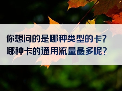 你想问的是哪种类型的卡？哪种卡的通用流量最多呢？