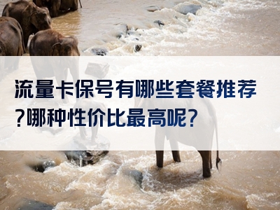 流量卡保号有哪些套餐推荐？哪种性价比最高呢？