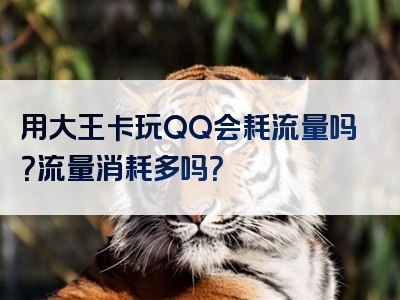 用大王卡玩QQ会耗流量吗？流量消耗多吗？