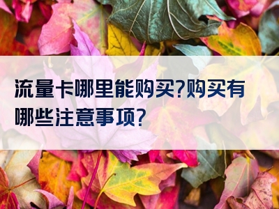 流量卡哪里能购买？购买有哪些注意事项？