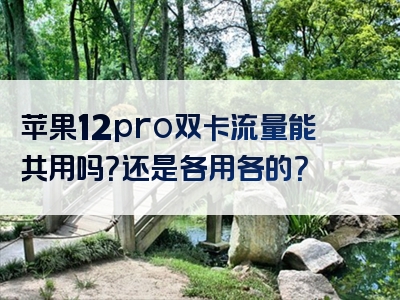 苹果12pro双卡流量能共用吗？还是各用各的？