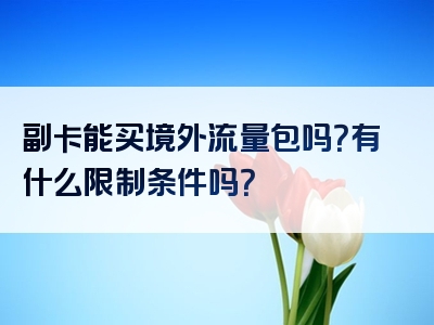 副卡能买境外流量包吗？有什么限制条件吗？