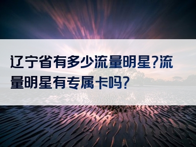 辽宁省有多少流量明星？流量明星有专属卡吗？