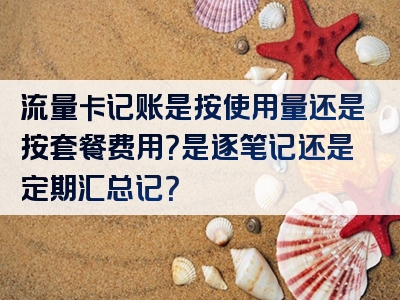 流量卡记账是按使用量还是按套餐费用？是逐笔记还是定期汇总记？
