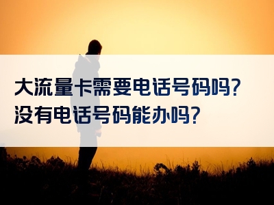 大流量卡需要电话号码吗？没有电话号码能办吗？