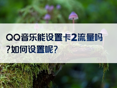 QQ音乐能设置卡2流量吗？如何设置呢？