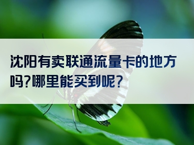 沈阳有卖联通流量卡的地方吗？哪里能买到呢？