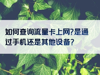 如何查询流量卡上网？是通过手机还是其他设备？
